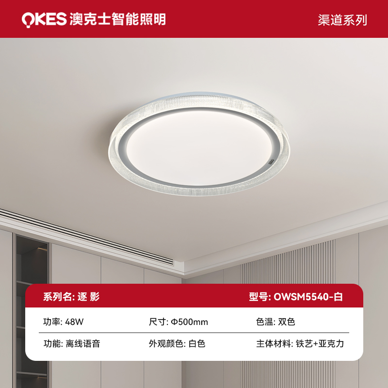 逐影 OWSM5540