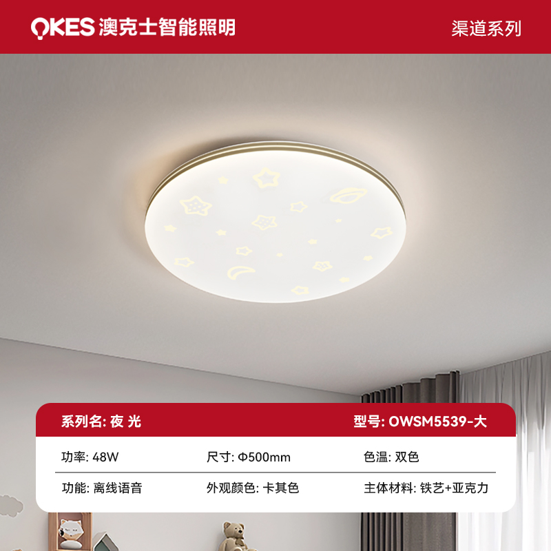 夜光 OWSM5539